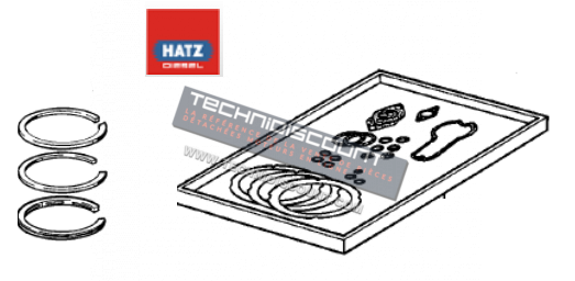 Jeu segments 00571410 + Pochette joints haut moteur 00339410 - HATZ E75 (E75.15) (E75.16)