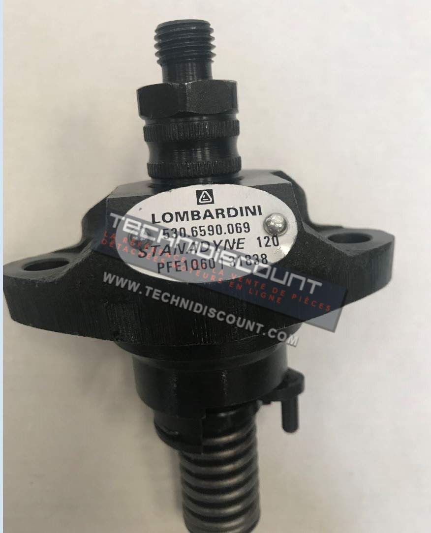 Pompe injection 530 et 533 LOMBARDINI [6590069 - 31838 - NPFE 1Q60 178 - 0414060002]