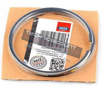 Segments Ø102 / HATZ 000001376100 Moteurs HATZ 2L40 3L40 4L40 HATZ 2M40 3M40 4M40 HATZ 2L41 3L41 4L41 HATZ 2M41 3M41 4M41 HATZ 3L43 4L43 HATZ 3M43 4M43