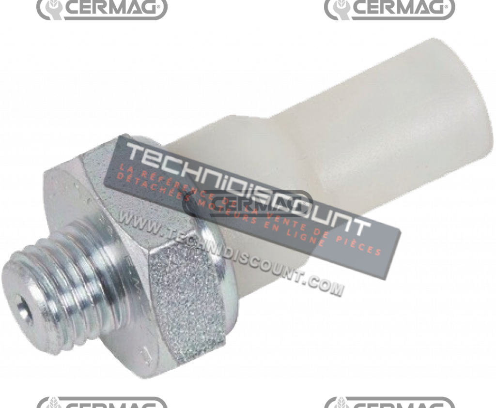 CERMAG 13378