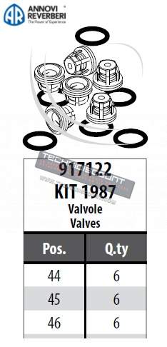 Kit soupapes et joints pour pompe AR503 ANNOVI REVERBERI - KIT 1987 Valvole - 917122 (ANNOVI REVERBERI 1409050 + 620030 + 540361)