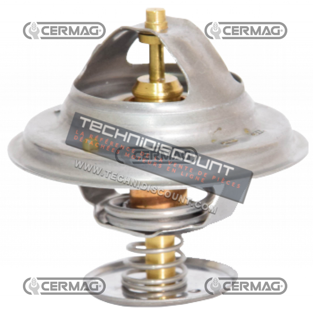 Thermostat 13407 OEM 2485C025 2485C034 2485C036 42038375S1 4222845M1 4223770M1 4224624M1 4224639M1 V836666334 ACW2170430 3651181M91