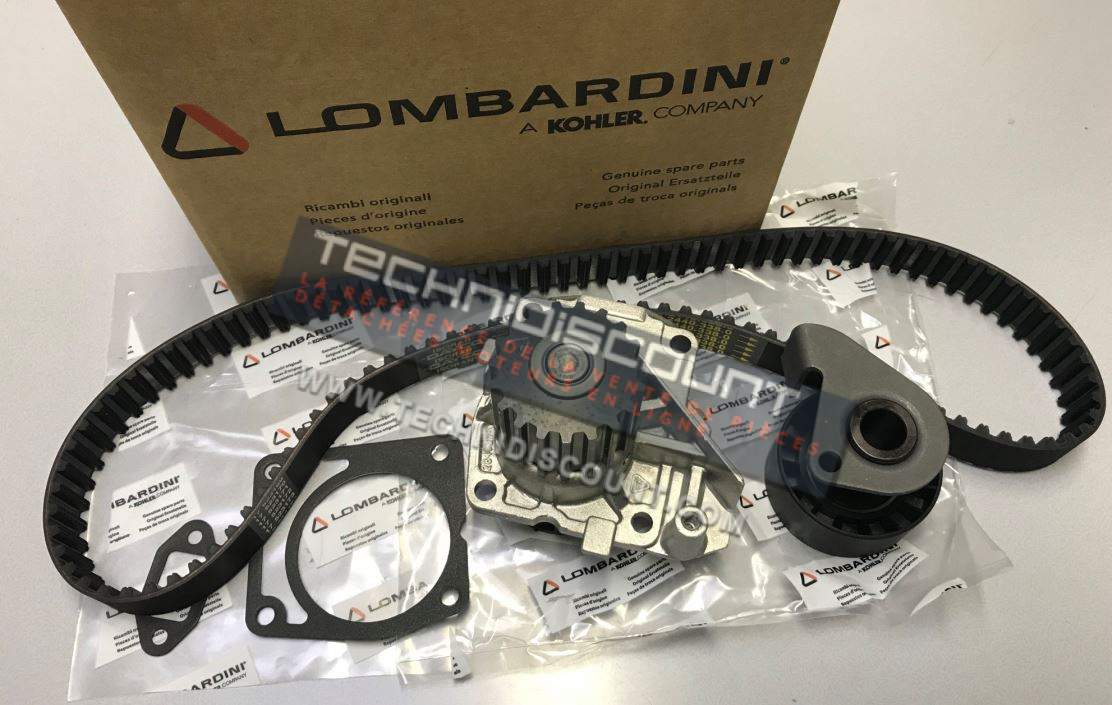 Kit Distribution FOCS LDW602 LDW702 LDW903 LDW1003 LOMBARDINI DEUTZ F2M1008 F3M1008 LOMBARDINI KOHLER 4898076