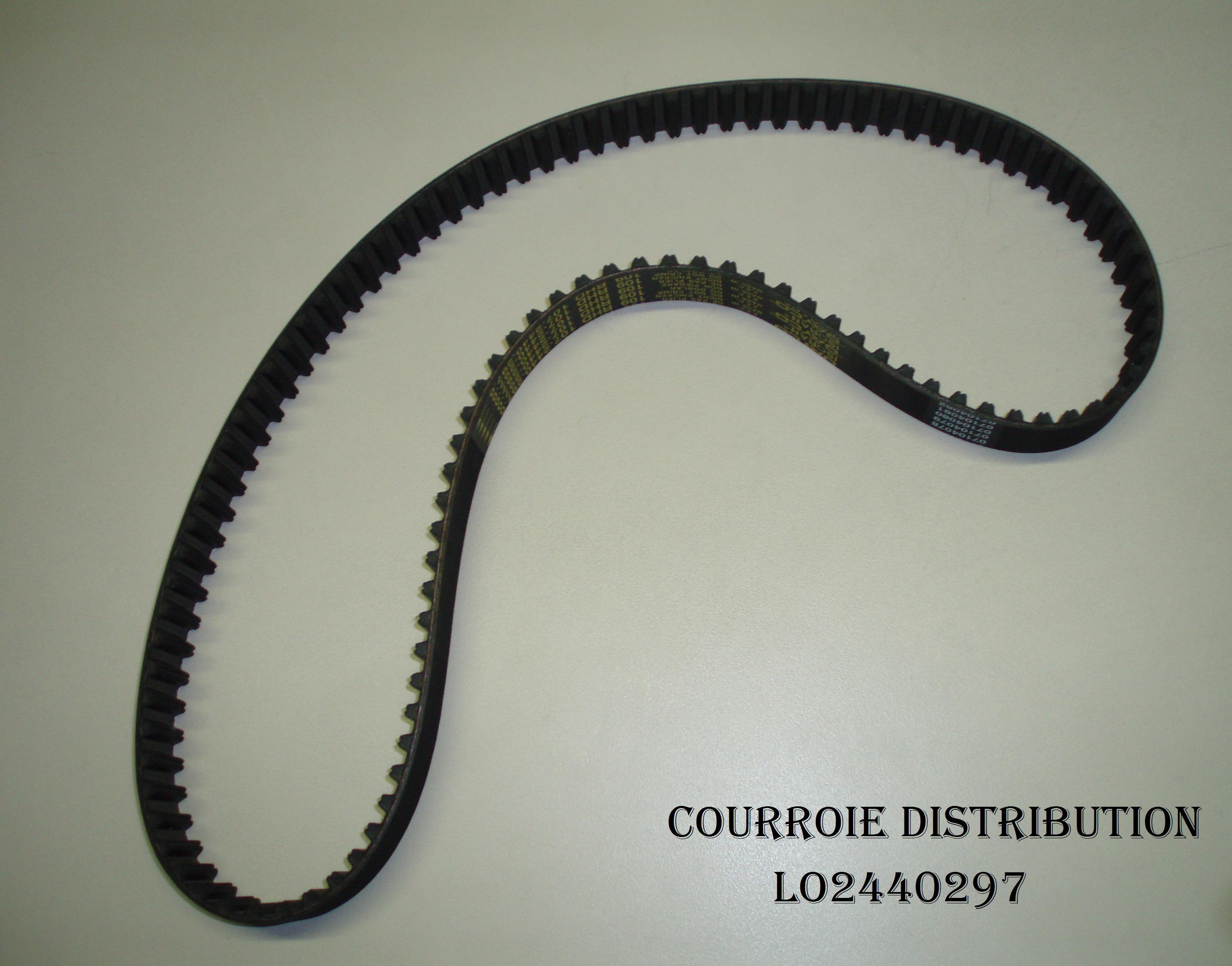 Courroie Distribution ED0024402970-S
